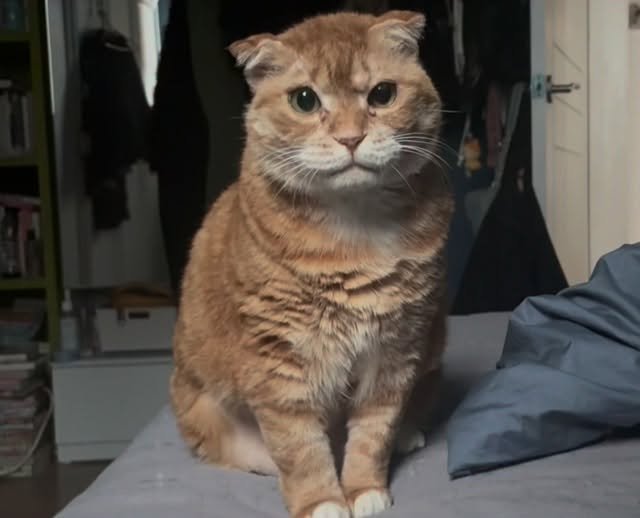 kimnaembee 게시물 이미지: 눈꼽 휘날리며 (그런데오라고하니깐오진않음곤조있는남자)