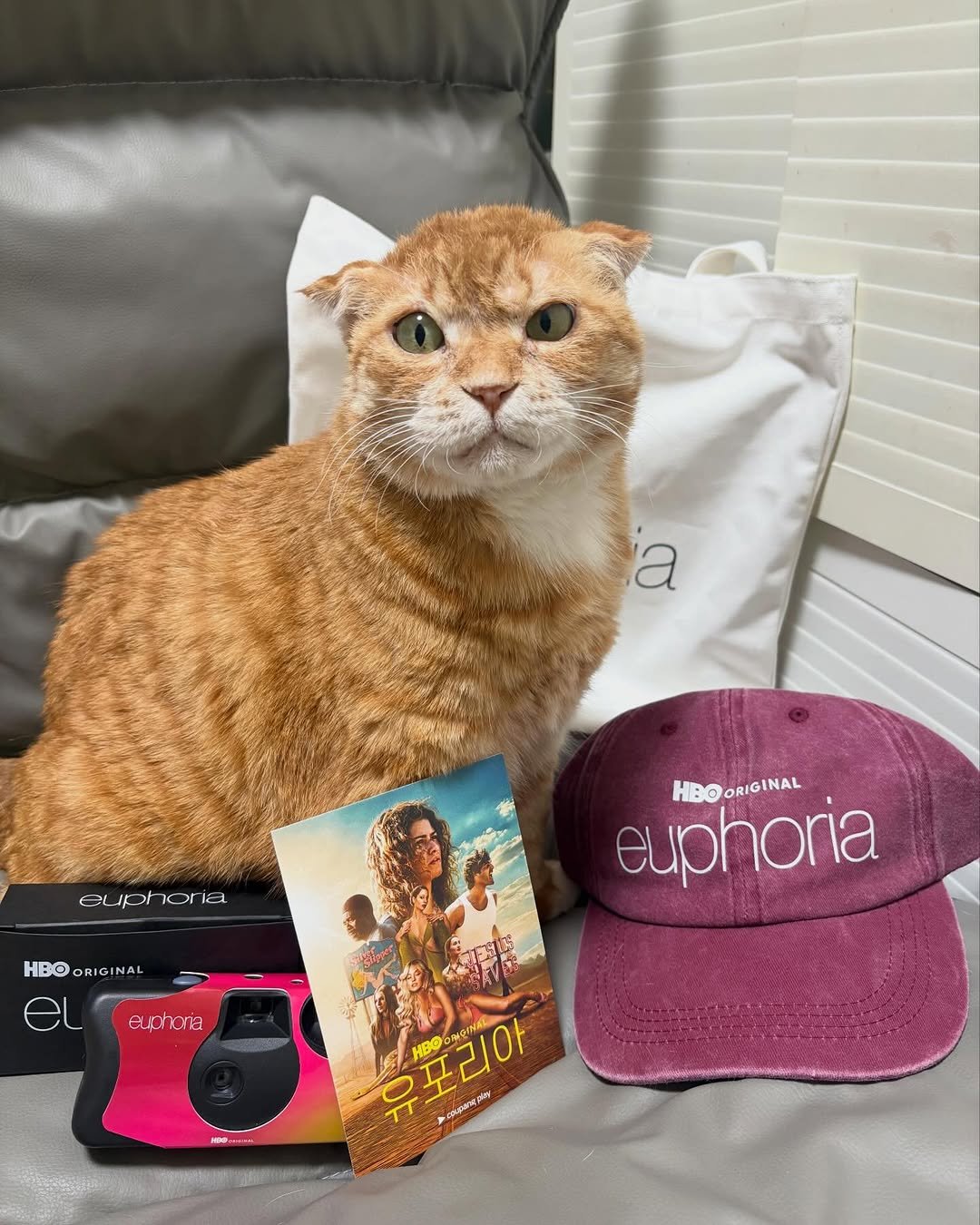Photo by 김냄비(디엠확인느려요죄송해요양해부탁) on April 17, 2026. May be an image of Abyssinian cat, kitten, hat, portable cassette player, petfood, sweat band and text that says 'a cuphoria HBo HBOORIGINAL euphoria HBO HBOORIGINAL euphora 유포리아 유모리아 อุเมลม HBO- 라오 a'.