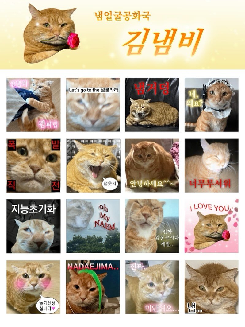 Photo shared by 김냄비(열활모드^^) on August 07, 2025 tagging @kakao.emoticon. May be an image of kitten and text that says '냄얼굴공화국 김냄비 Let's 'othe냄콜라라 go to the 냄률라라 냄거덩 펌피럽 네, 왜요? 明月９可司 냄옷겨 안녕하세요^^~ 지능초기화 너무무서워 아 My NAEM, LOVE LOVEYOU YOU 진짜 감동크시다 제발.. NADAEJIMA 놀기신청 합니다 미안해요.. 냄..'.