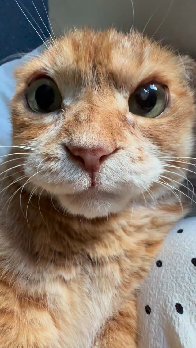 kimnaembee 게시물 이미지: 눈알에 눈꼽이 붙었어요.. 양해부탁요 ^^