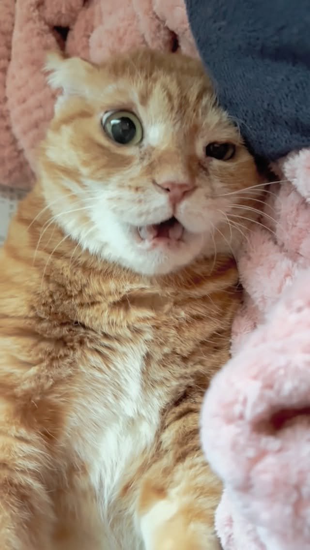 kimnaembee 게시물 이미지: 김냄삐짐