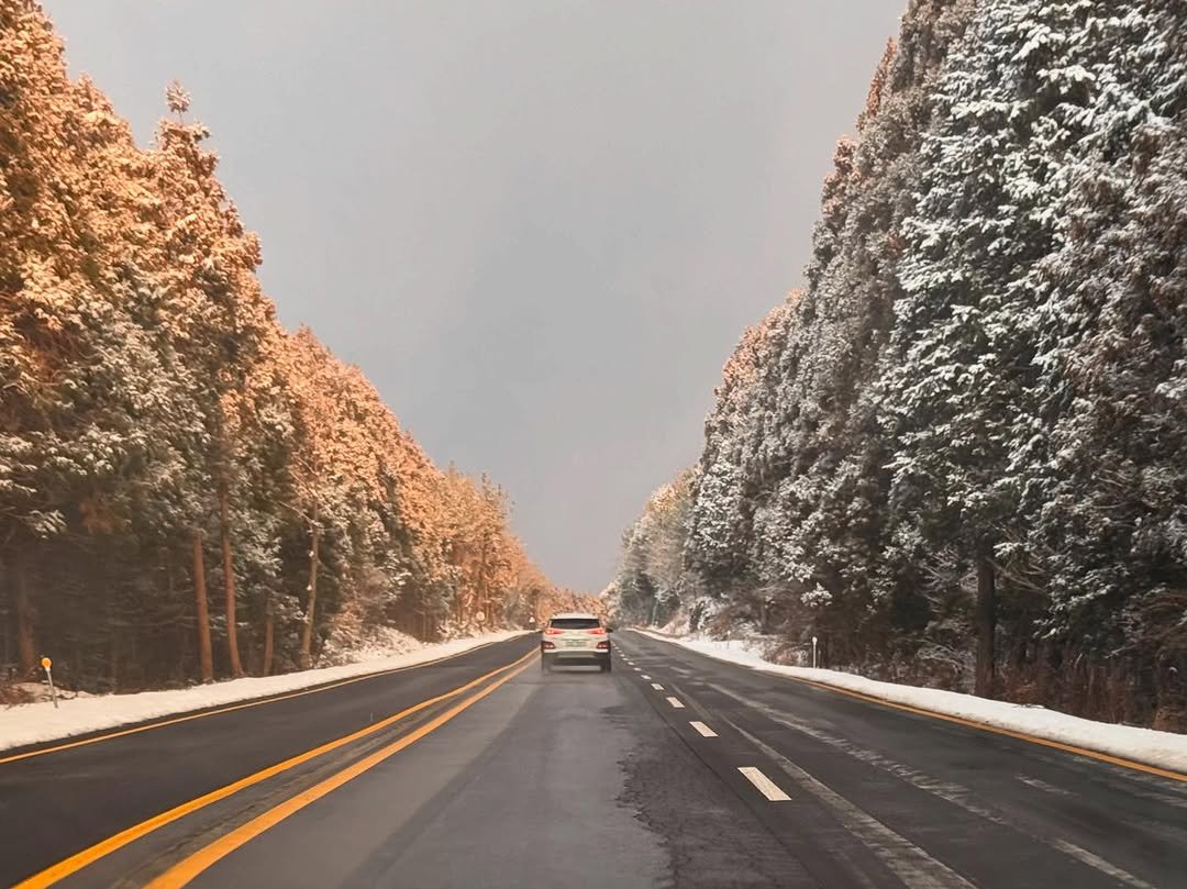 Photo by 김태리 on February 14, 2025.