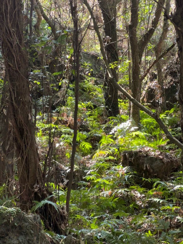 kimtaeri_official 게시물 이미지: 헤헤헤🌿🌿🌿🦑🦑🦑