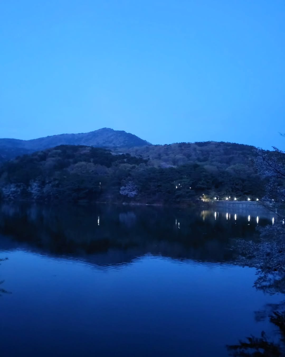 Photo by 풍요를부르는행복연구소 on June 09, 2025.