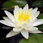 kimyoungja375 인스타그램 프로필 사진