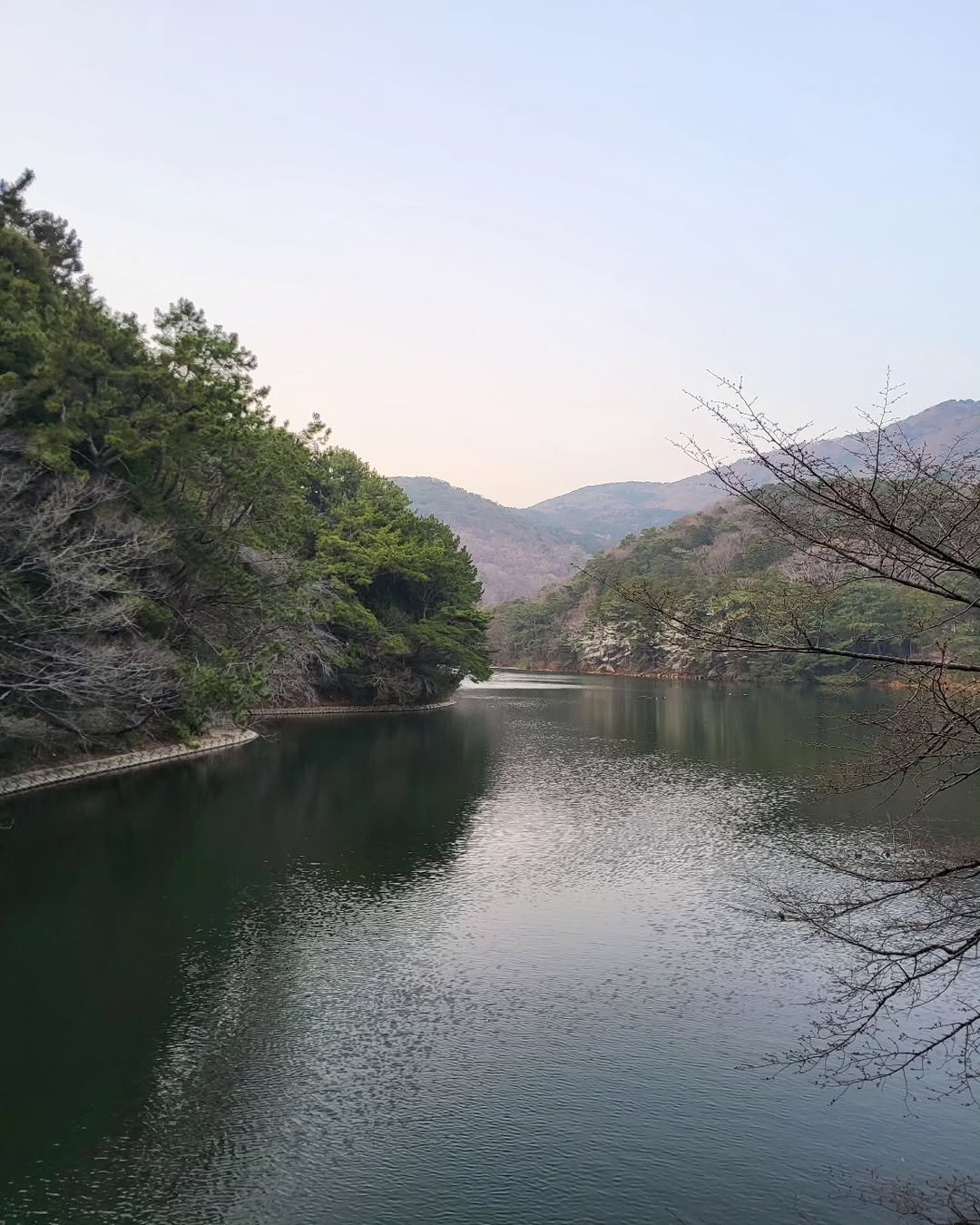 Photo by 풍요를부르는행복연구소 on April 01, 2025.