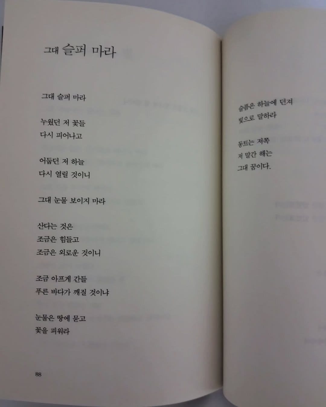 Photo by 풍요를부르는행복연구소 on June 23, 2025.