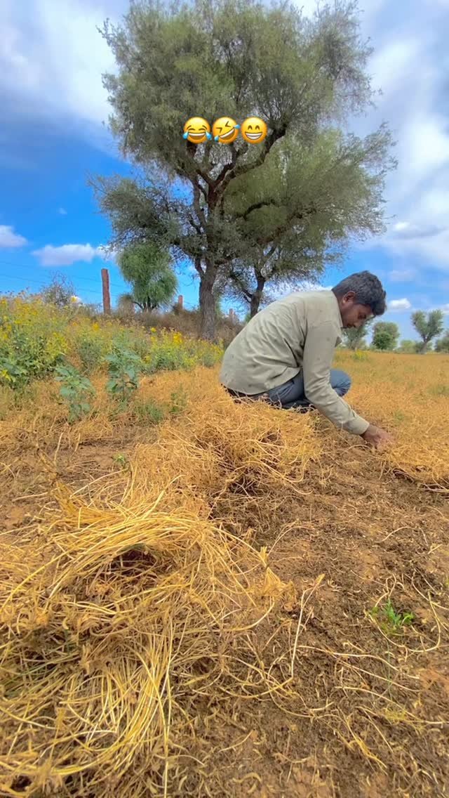 kisan_zindabad_100k 게시물 이미지: 😆😂🤣 

#desi @kisan_zindabad_100k @ramniwas_keer01