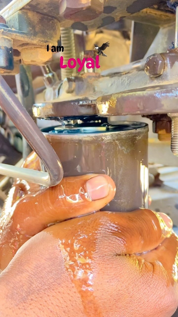 kisan_zindabad_100k 게시물 이미지: 1 followers gain 
🫡I am loyal farmer 🧑‍🌾 
🫡...