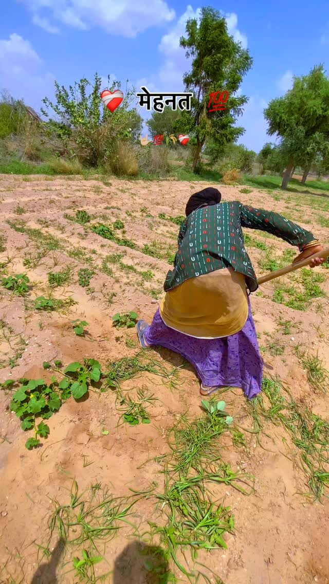 kisan_zindabad_100k 게시물 이미지: मेहनत तो कर ही सकते हैं 💯 @kisan_zindabad_100k...