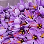 grow_grower 프로필 사진