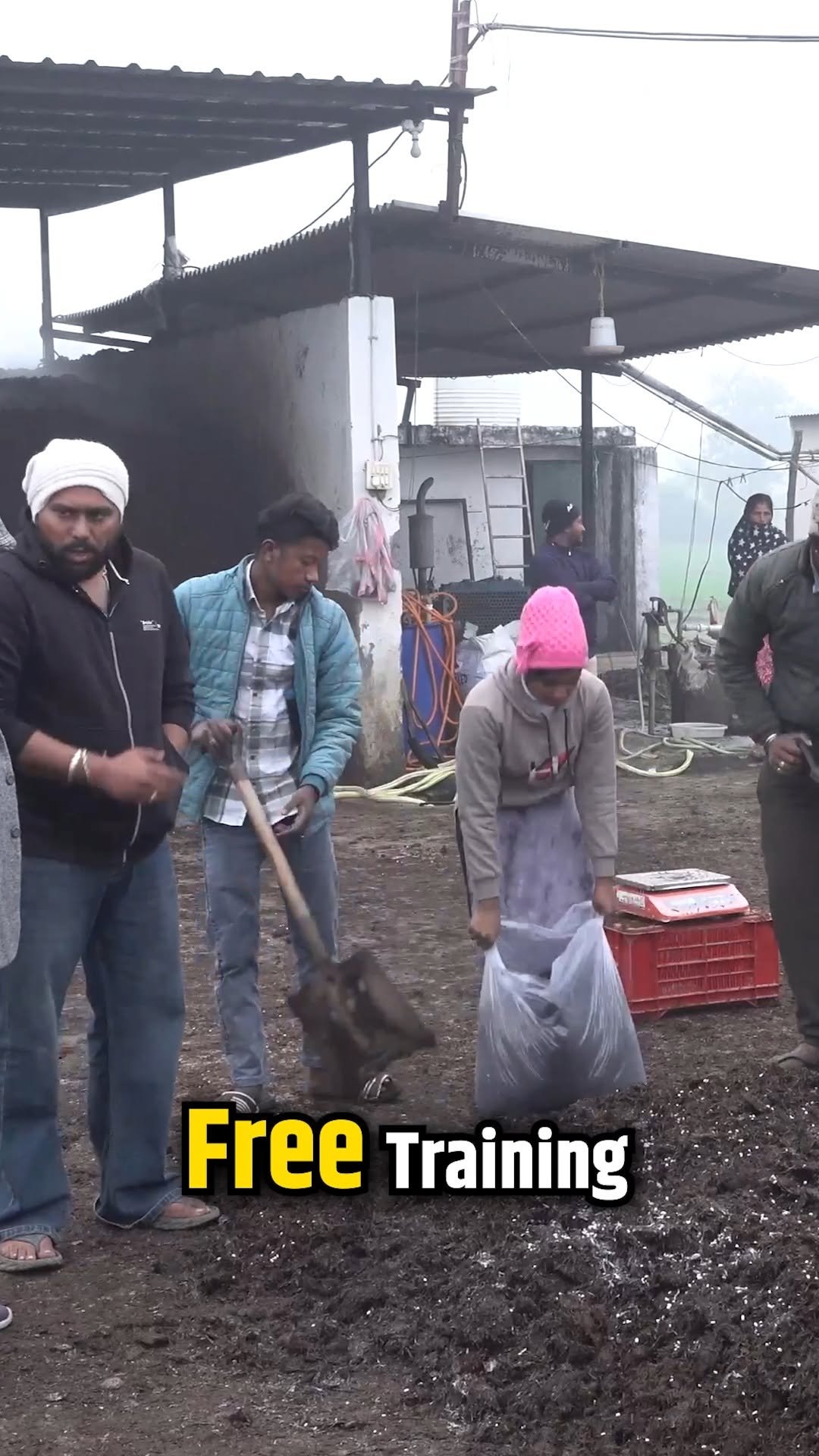 kisanofindia 게시물 이미지: Mushroom Farming की फ्री ट्रेनिंग देते हैं ये...