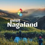nagalandtourism 프로필 사진