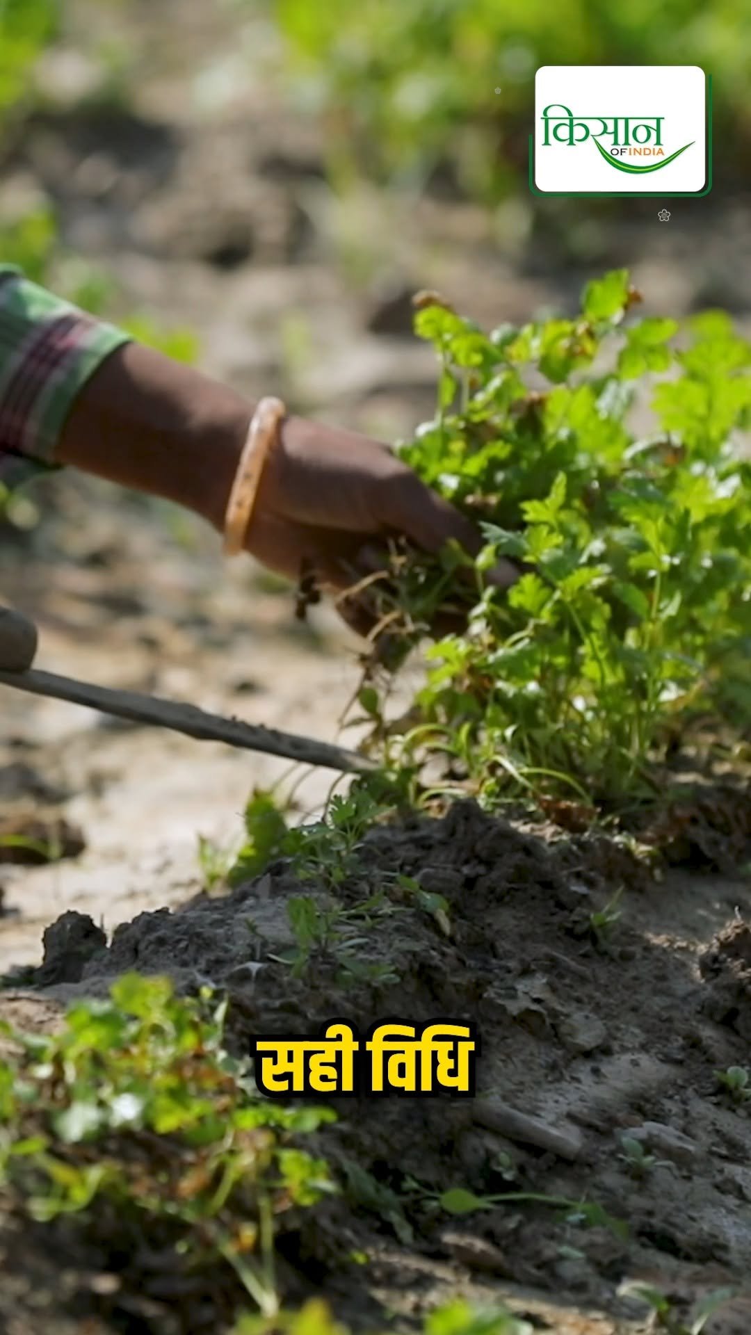 kisanofindia 게시물 이미지: Nano Fertilizer की Dr. Yogendra Kumar ने दी...