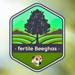 fertilebeeghas 프로필 사진