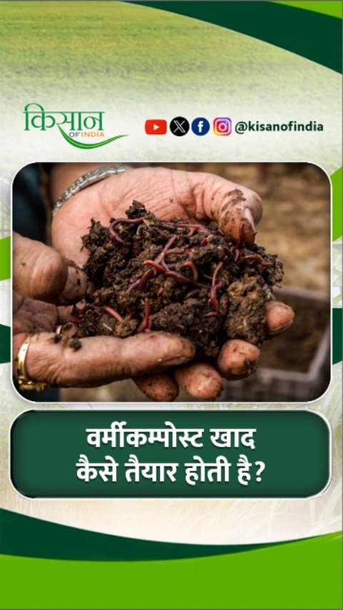 kisanofindia 게시물 이미지: वर्मीकम्पोस्ट खाद बनाने की पूरी प्रक्रिया...