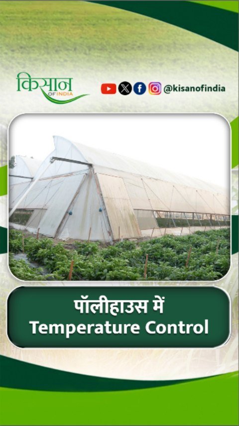 kisanofindia 게시물 이미지: पॉलीहाउस में Temperature Maintain करने का...