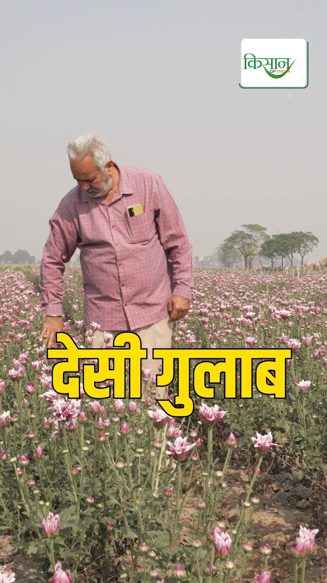 kisanofindia 게시물 이미지: गुरप्रीत सिंह शेरगिल ने Flowers से कैसे खड़ा...
