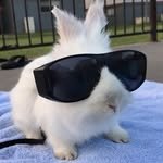 namda0__ 프로필 사진