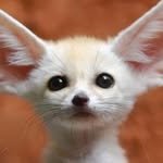 areumsongee 프로필 사진