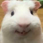 yeondukong 프로필 사진