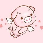 haineoshop.myphamcandate1 프로필 사진