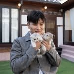nekonyang_official 프로필 사진