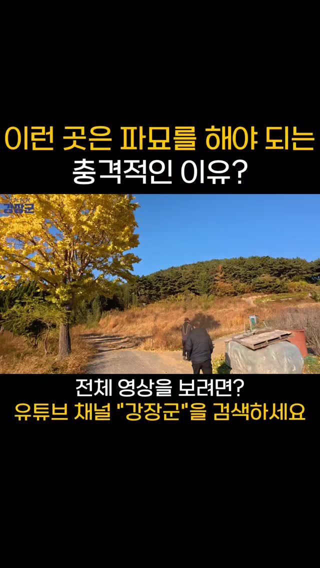 kjy30305 게시물 이미지: #강장군

이런 곳은 파묘를 해야 되는 충격적인 이유?