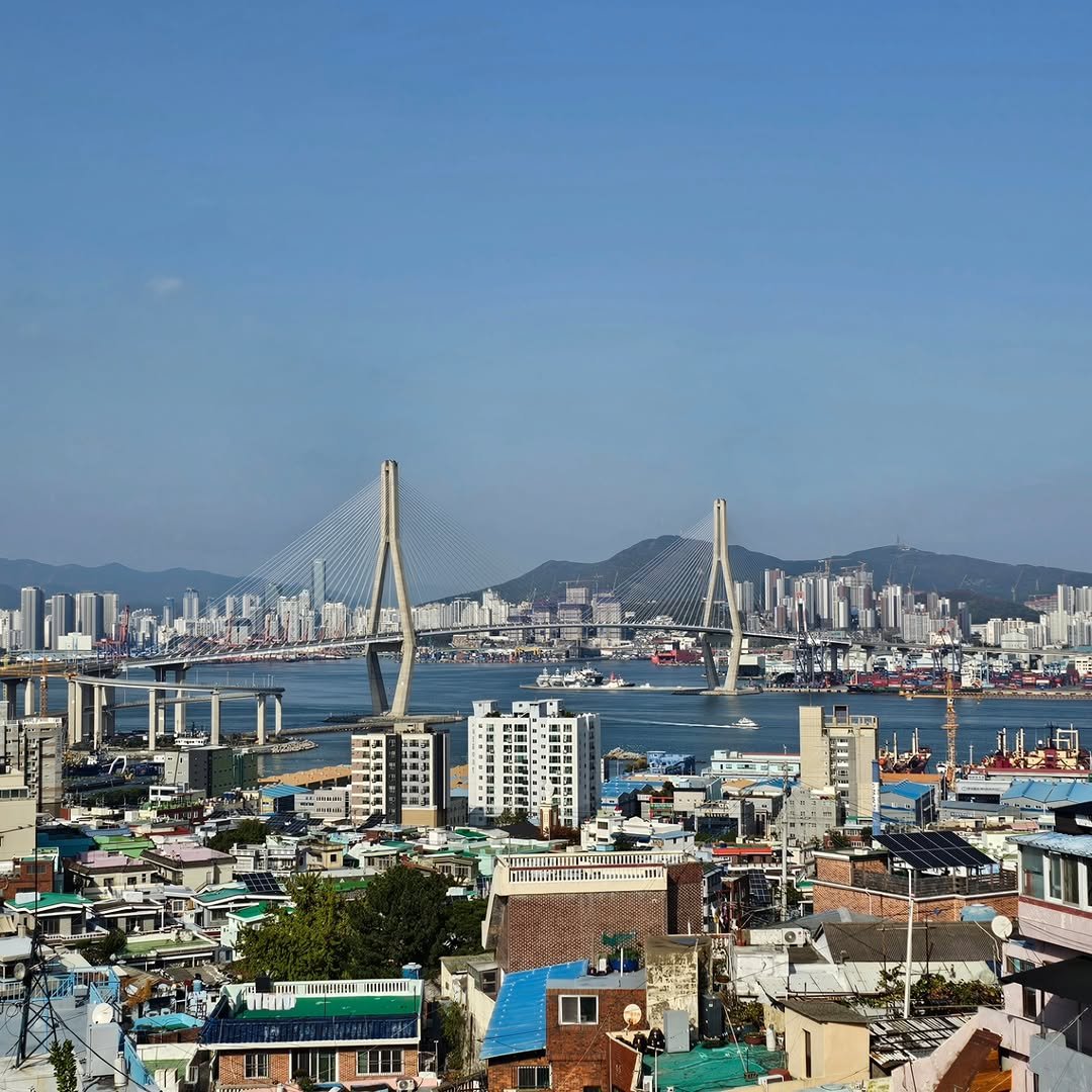 Photo by 강준영 [강장군] on November 10, 2025. May be an image of suspension bridge and text.