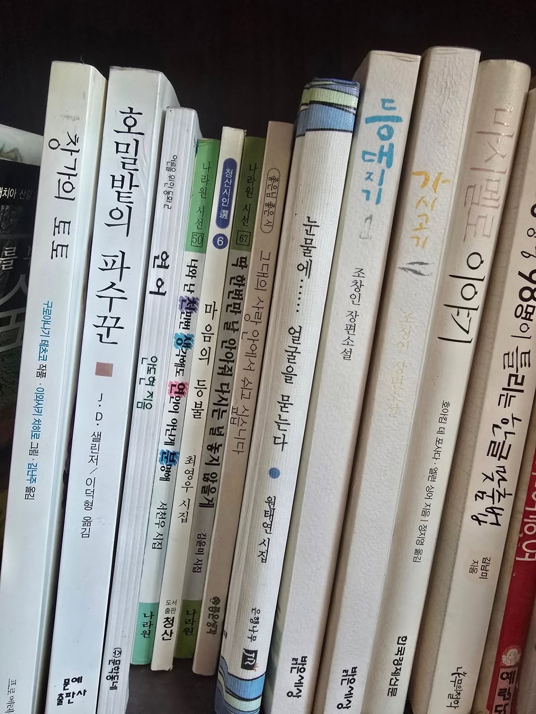 Photo by 김경아 kim kyoung ah on February 16, 2026. May be an image of book and text.