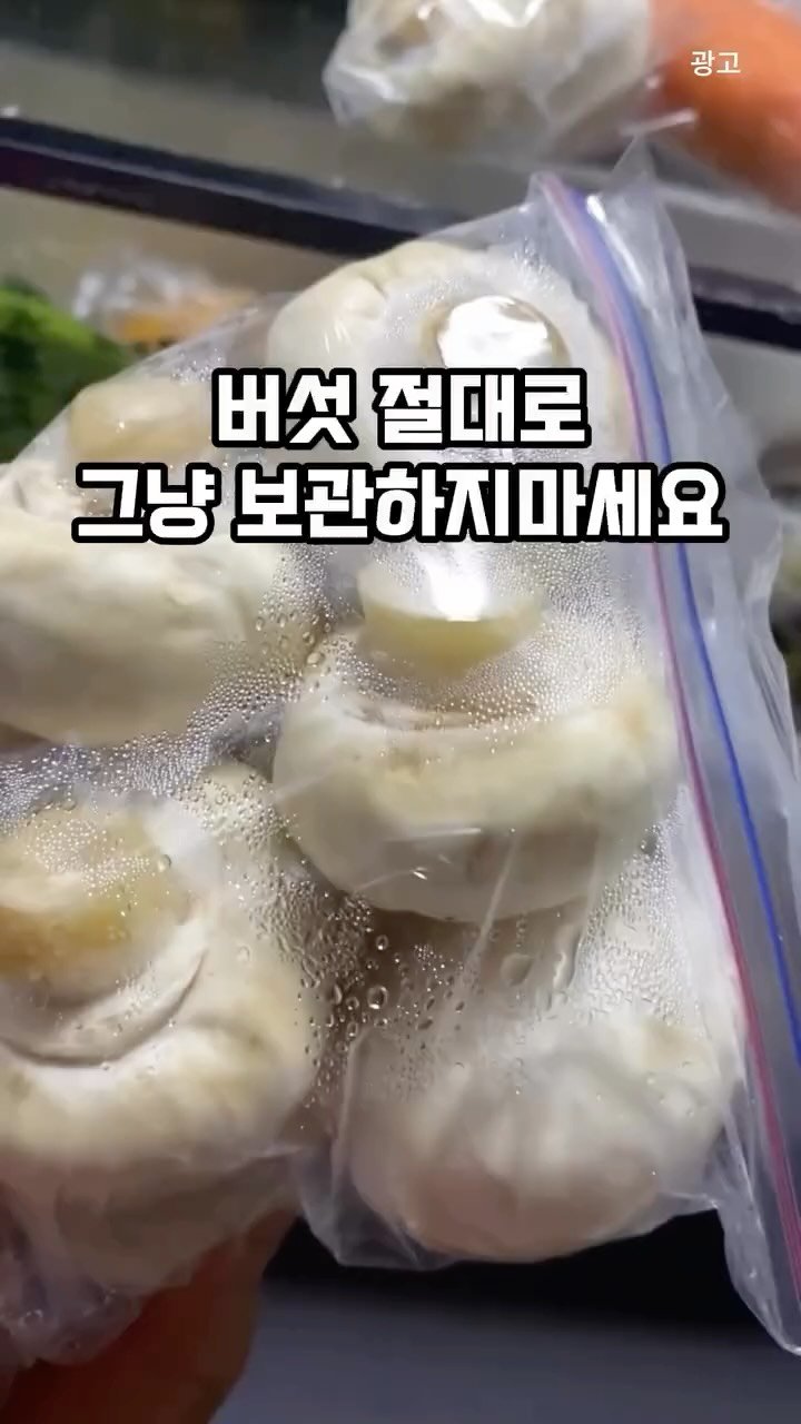 kkaekkul_tem 게시물 이미지: 댓글에 “버섯” 남겨줘 🍄‍🟫

버섯 그냥 냉장고에 넣어두면
금방 물러지고 곰팡이...