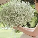 ssoo.zip_ 프로필 사진