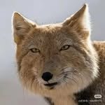 ll.lu1s 프로필 사진