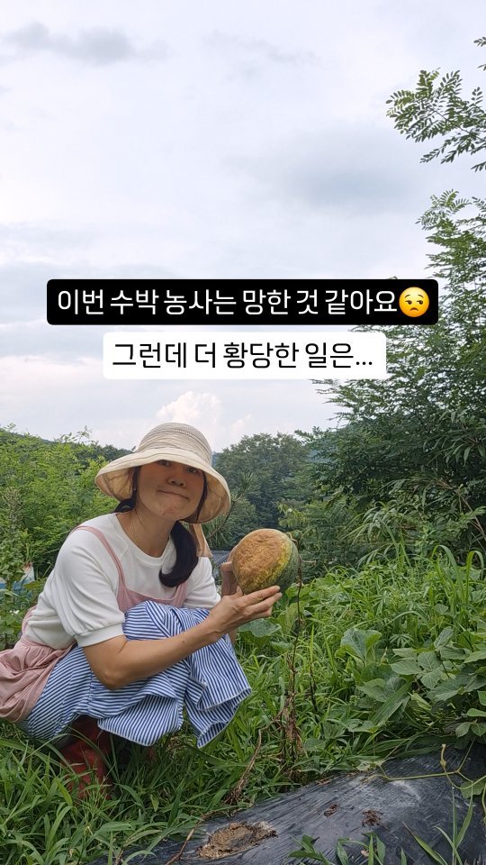 kkongnyang_bubu 게시물 이미지: 😌이번 농사는 망한거죠?

🍉 수박을 좀 많이 심었습니다.
남편이 수박쟁이거든요...