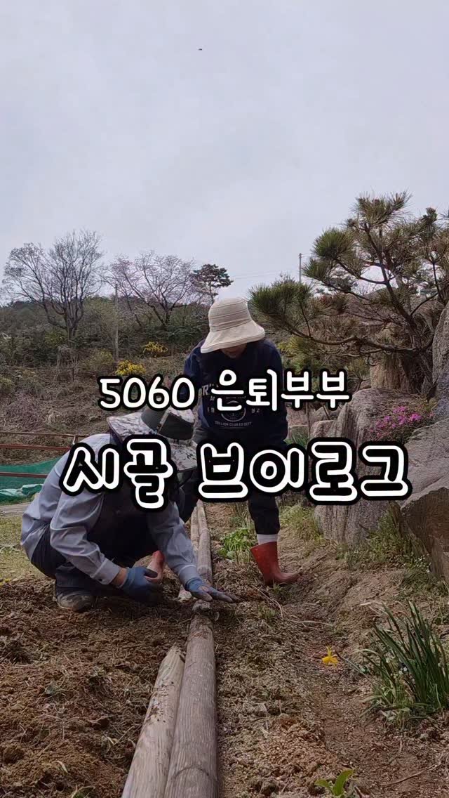 kkongnyang_bubu 게시물 이미지: 🏡퇴직 후 시골에서 놀아요
요즘은 정원 가꾸는데 푹 빠져있이요
늘 바쁘지만 넘...