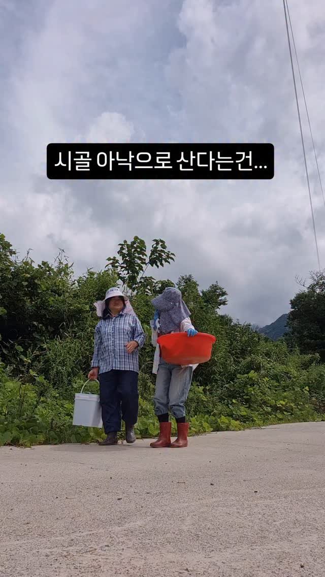 kkongnyang_bubu 게시물 이미지: 👩‍🌾행복은 그리 거창한 게 아니죠

🌱뒷집 언니네 밭에서 향긋한 깻잎 한 다라이...