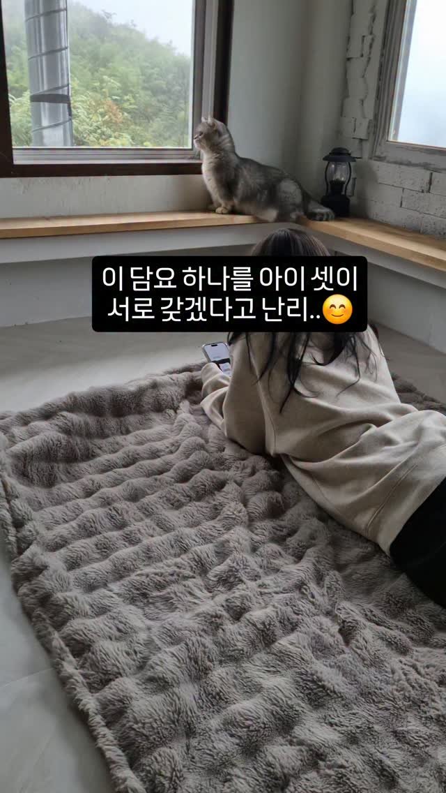 kkongnyang_bubu 게시물 이미지: 🤭아이 셋이 서로 갖겠다고..

직장인 두 딸도 대학생 아들도 너무 갖고 싶다고...