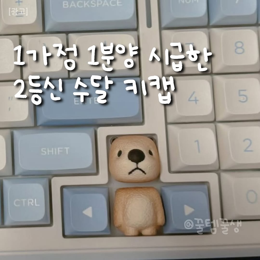 Photo by 꿀템꿀생 on November 05, 2025. May be an image of pie, computer keyboard and text that says '광고 BACKSPACE 8 1가정 1분양 시급한 2등신 수달 키랩 5 SHIFT 2 CTRL 포테포래'.
