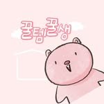 kkooltem_kkoolsaeng 인스타그램 프로필 사진