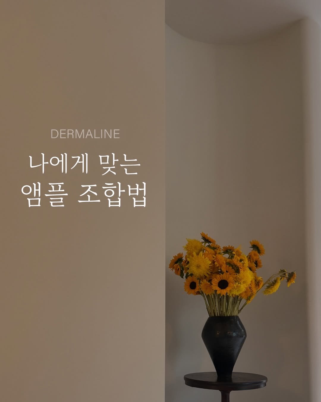 Photo by 꿈약 | 약사 이동섭 on November 30, 2025. May be an image of baby's-breath and text that says 'DERMALINE 나에게 맞는 앰플 조합법'.