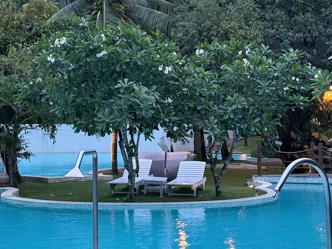 Photo shared by 꾸요이 on August 21, 2025 tagging @izrxro. May be an image of swimming, deck chair, pool, outdoors, cabana and text.