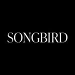 dear_songbird 프로필 사진