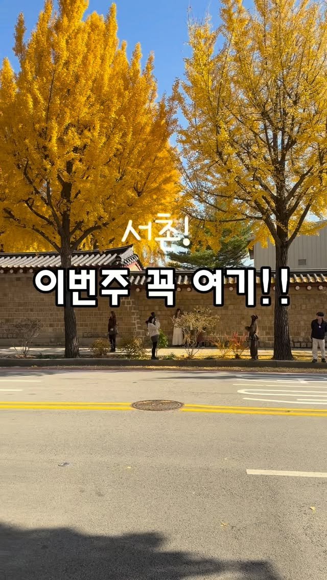 knock.knock_home 게시물 이미지: “요즘 단풍 절정인 서촌…
경복궁 옆 돌담길, 진짜 너무 예쁘죠🍂
카멜커피에서 커피...