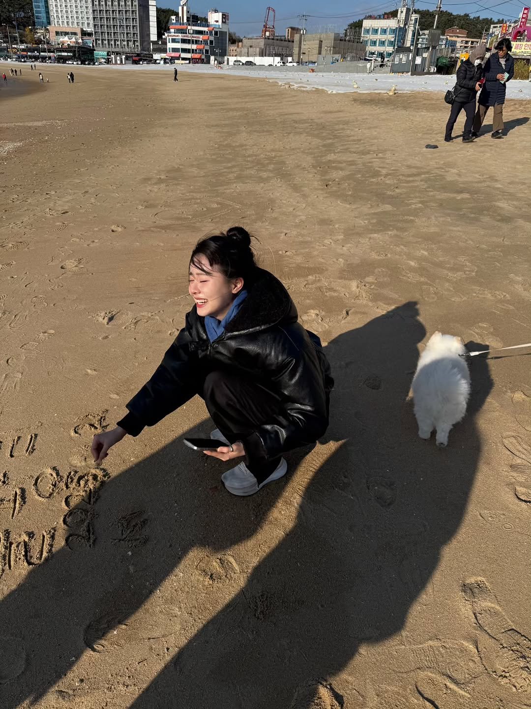Photo by 고세빈 on December 19, 2025. May be an image of Maltese, Norwich terrier, Bedlington terrier, beach, ocean and text.