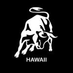 lamborghinihawaii 프로필 사진