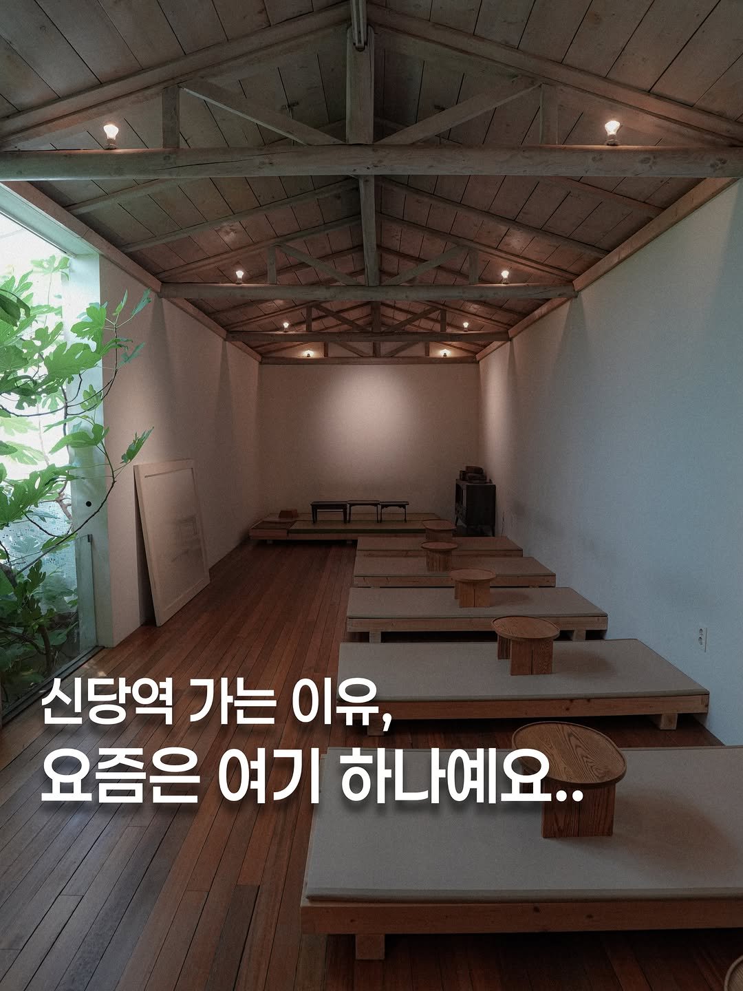 koh_min_ 게시물 이미지: 고민하지 말고 다녀오세요🌳 60년 된 여인숙을 개조한 신당동 카페 🍃

신당동...
