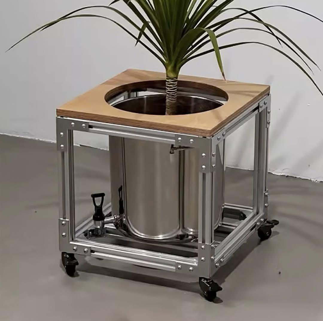 Photo by 코제 아뜰리에 on June 26, 2025. May be an image of flower pot.