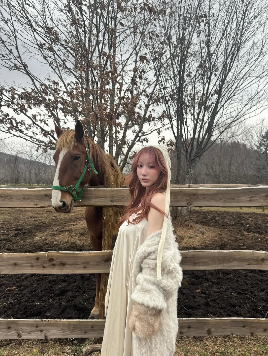Photo by 小宵こなん / Konan Koyoi on February 05, 2026. May be an image of riding on a horse, horse, pony, gown, halter top and text.