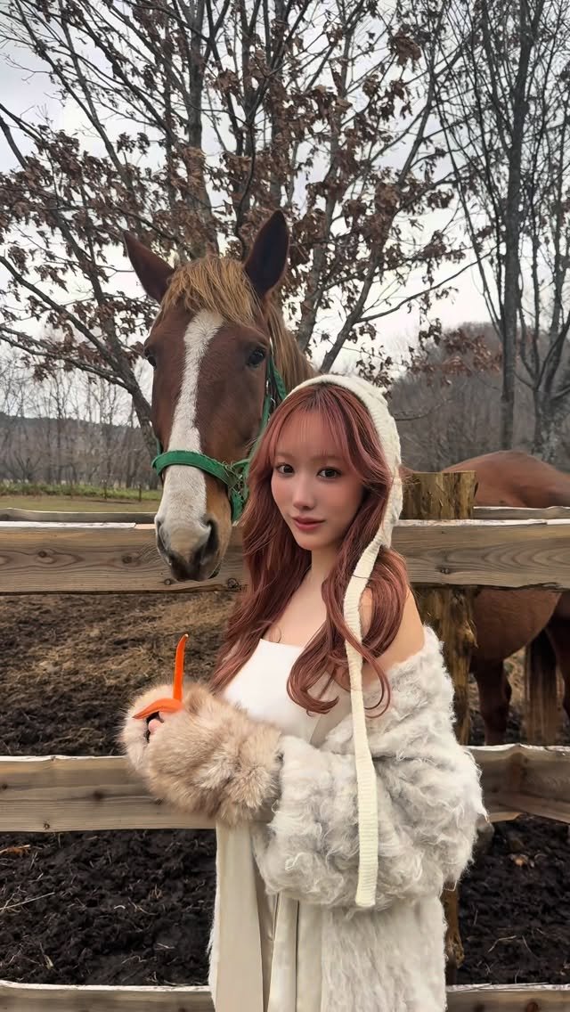konankoyoiiii 게시물 이미지: My new friend🐴︎‎🤍