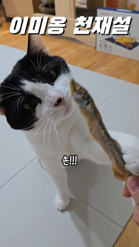 kongs3obang 게시물 이미지: 훈육이 되네..